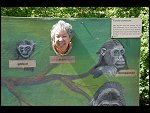 Sat 20 May 2006 13:47:34 D20_4938.JPG 