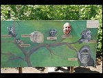 Sat 20 May 2006 13:49:38 D20_4941.JPG 