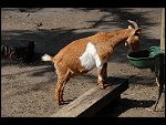 Sat 20 May 2006 13:51:36 D20_4947.JPG 