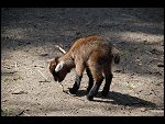 Sat 20 May 2006 13:52:06 D20_4948.JPG 