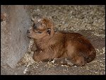 Sat 20 May 2006 13:54:36 D20_4958.JPG 