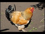 Sat 20 May 2006 13:56:20 D20_4962.JPG 