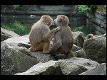 Sat 20 May 2006 14:01:14 D20_4973.JPG 