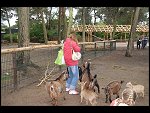 Sat 20 May 2006 14:12:22 D20_4998.JPG 