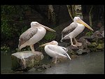Sat 20 May 2006 14:54:36 D20_5036.JPG 