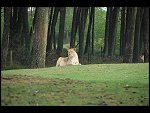 Sat 20 May 2006 16:03:30 D20_5068.JPG 
