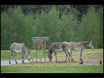 Sat 20 May 2006 16:07:16 D20_5070.JPG 
