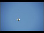 Sat 29 Jul 2006 18:42:20 D20_7748.JPG 