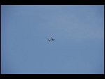 Sat 29 Jul 2006 19:18:04 D20_7761.JPG 