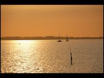 Sun 08 Oct 2006 18:24:58 D20_0906.JPG 