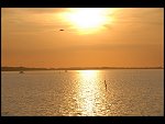 Sun 08 Oct 2006 18:26:18 D20_0910.JPG 