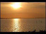 Sun 08 Oct 2006 18:26:38 D20_0911.JPG 