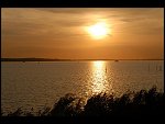 Sun 08 Oct 2006 18:28:06 D20_0916.JPG 