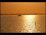 Sun 08 Oct 2006 18:28:36 D20_0917.JPG 