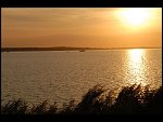 Sun 08 Oct 2006 18:29:08 D20_0920.JPG 