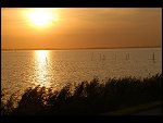Sun 08 Oct 2006 18:30:18 D20_0924.JPG 