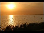 Sun 08 Oct 2006 18:30:26 D20_0925.JPG 