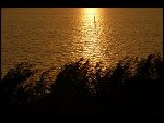 Sun 08 Oct 2006 18:31:18 D20_0926.JPG 