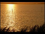 Sun 08 Oct 2006 18:31:34 D20_0927.JPG 