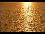 Sun 08 Oct 2006 18:31:46 D20_0928.JPG 