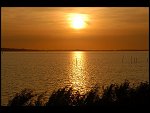 Sun 08 Oct 2006 18:33:38 D20_0934.JPG 