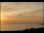 Sun 08 Oct 2006 18:36:52 D20_0941.JPG 