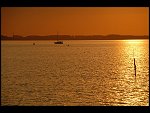 Sun 08 Oct 2006 18:38:04 D20_0945.JPG 