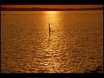 Sun 08 Oct 2006 18:39:06 D20_0947.JPG 