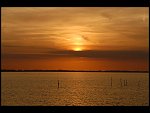 Sun 08 Oct 2006 18:43:28 D20_0953.JPG 