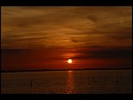 Sun 08 Oct 2006 18:50:04 D20_0972.JPG 