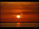 Sun 08 Oct 2006 18:51:18 D20_0976.JPG 