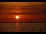 Sun 08 Oct 2006 18:52:10 D20_0977.JPG 