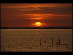 Sun 08 Oct 2006 18:56:04 D20_0990.JPG 