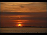 Sun 08 Oct 2006 18:56:18 D20_0991.JPG 