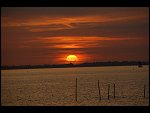 Sun 08 Oct 2006 18:56:42 D20_0993.JPG 