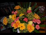 Mon 10 Apr 2006 18:41:22 D20_2824.JPG 