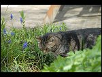 Wed 03 May 2006 11:52:00 D20_4280.JPG 