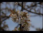 Sat 29 Apr 2006 18:11:58 D20_4253.JPG 
