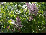 Sat 06 May 2006 13:41:30 D20_4329.JPG 