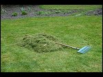 Wed 19 Apr 2006 18:12:14 D20_3325.JPG 