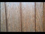 Wed 04 Oct 2006 17:54:44 D20_0669.JPG 