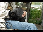 Sat 14 Oct 2006 16:31:56 D20_1039.JPG 