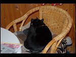 Sat 14 Oct 2006 16:37:46 D20_1046.JPG 