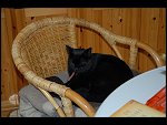 Sat 14 Oct 2006 16:37:58 D20_1047.JPG 