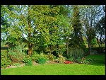 Sun 15 Oct 2006 16:02:46 D20_1076.JPG 