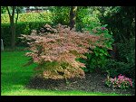 Sun 15 Oct 2006 16:02:54 D20_1077.JPG 