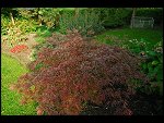 Sun 15 Oct 2006 16:04:26 D20_1084.JPG 