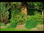 Sun 15 Oct 2006 16:24:18 D20_1094.JPG 