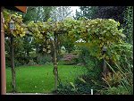 Sun 22 Oct 2006 15:06:48 D20_1178.JPG 