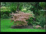 Sun 22 Oct 2006 15:09:14 D20_1185.JPG 